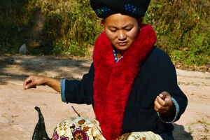 Muang Sing Culture Travel Guide: Lao Traditions, Etiquette & Eco-Tours
